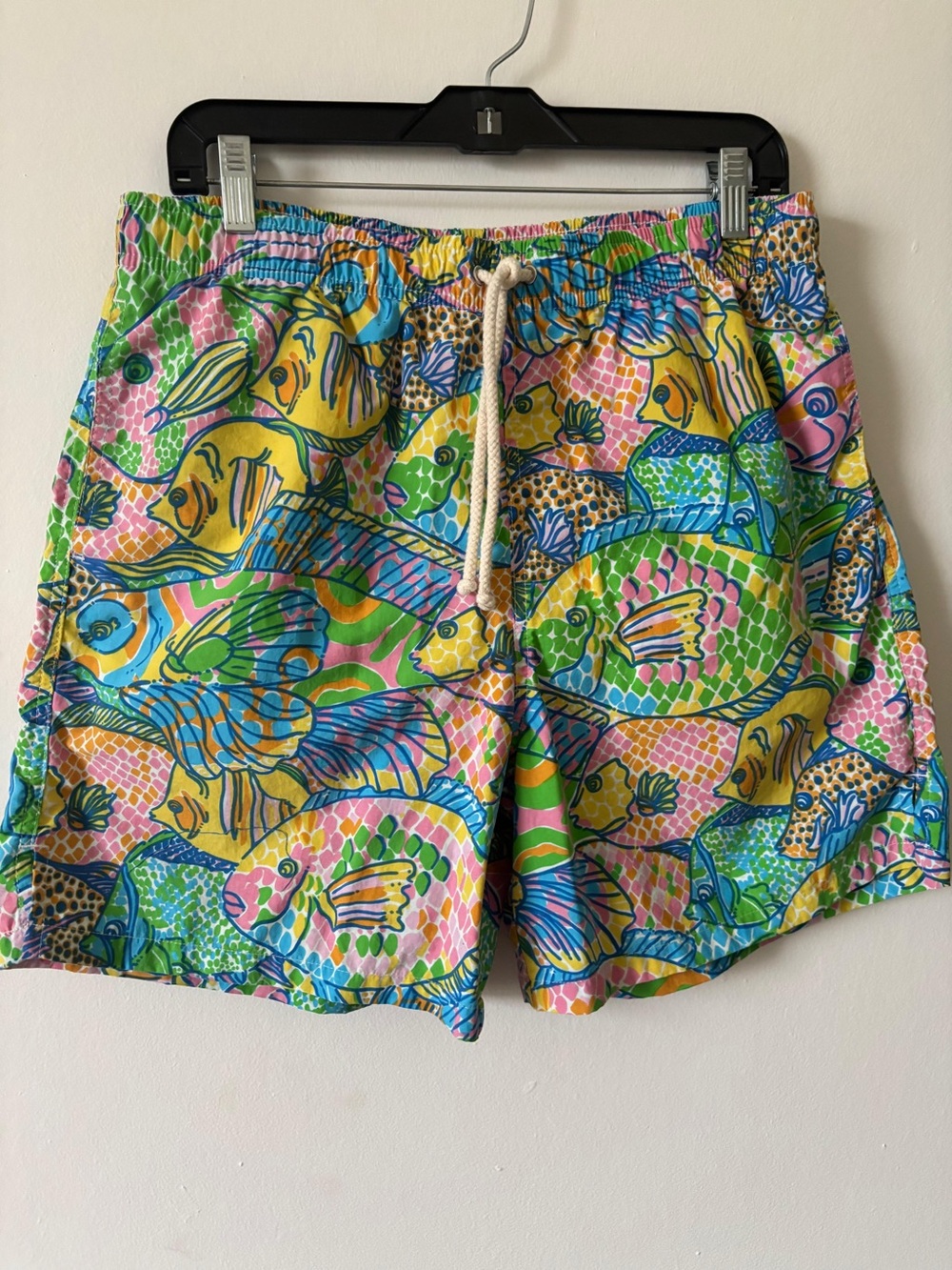 Men's Vibrant Multi-Color Fish Print Swim Shorts